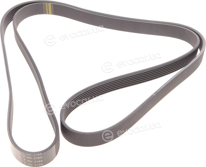 Hutchinson 2164 K 7