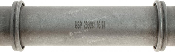 GSP 256093