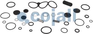 Cojali 6012207