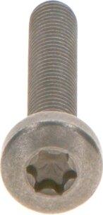 Bosch F 00N 202 194