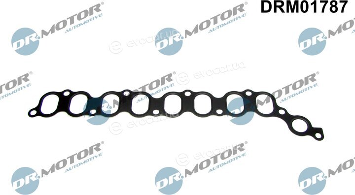 Dr. Motor DRM01787
