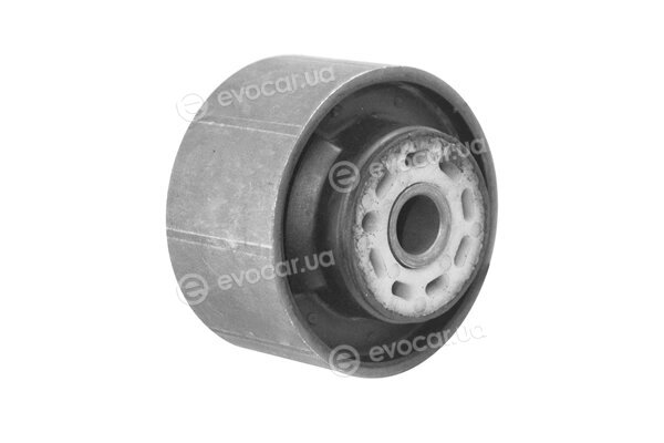 Tedgum TED37266