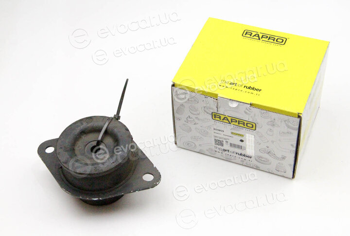 Rapro R59859