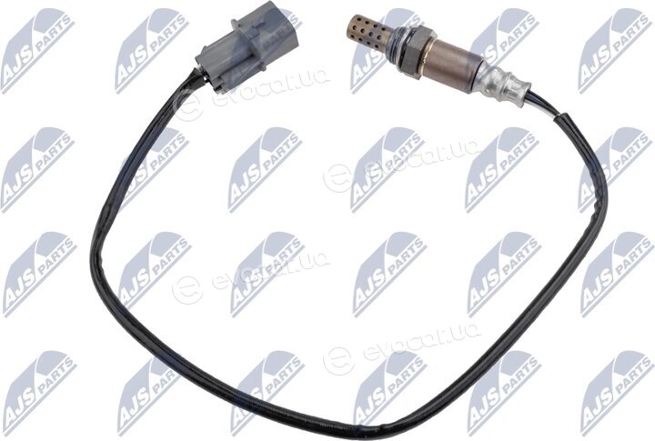 NTY ESL-MS-016