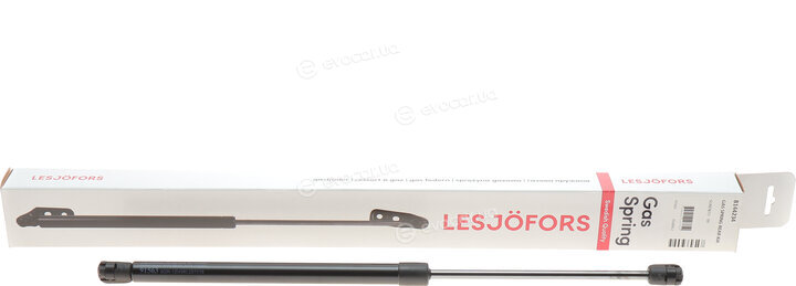 Lesjofors 8144234