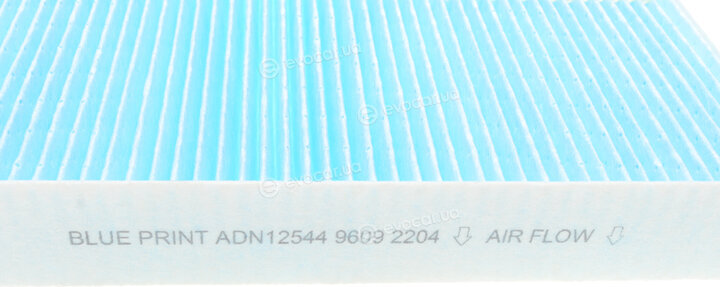 Blue Print ADN12544