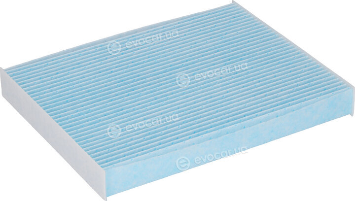 Blue Print ADG02588