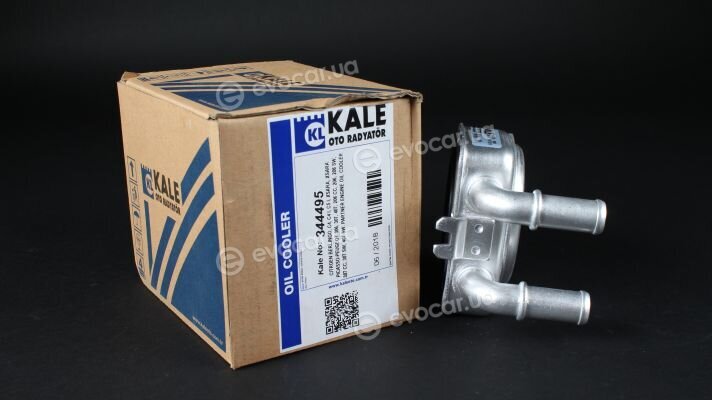 Kale 344495