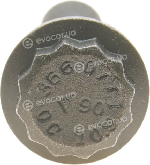 Elring 290.300