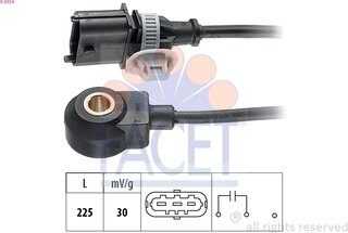 Facet 9.3034