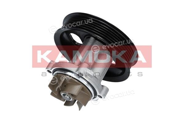 Kamoka T0014
