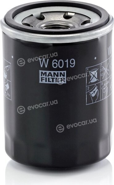 Mann W 6019