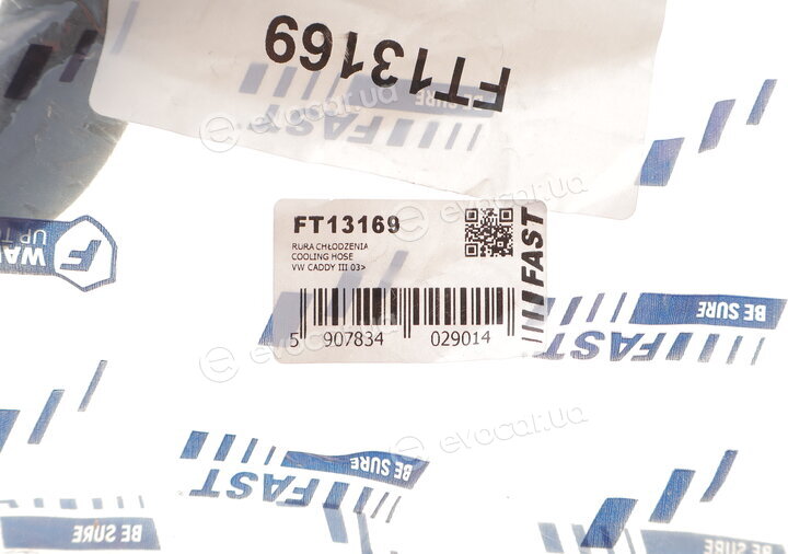 Fast FT13169