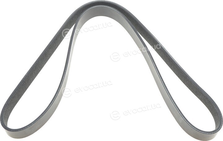 Dayco 7PK1236HD