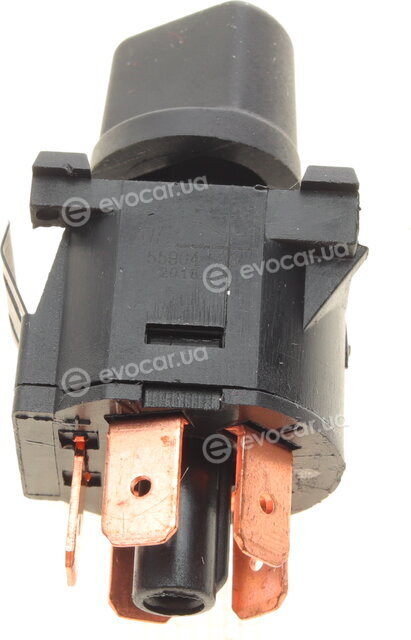 AIC 55904