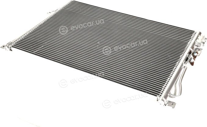 Van Wezel 21005045