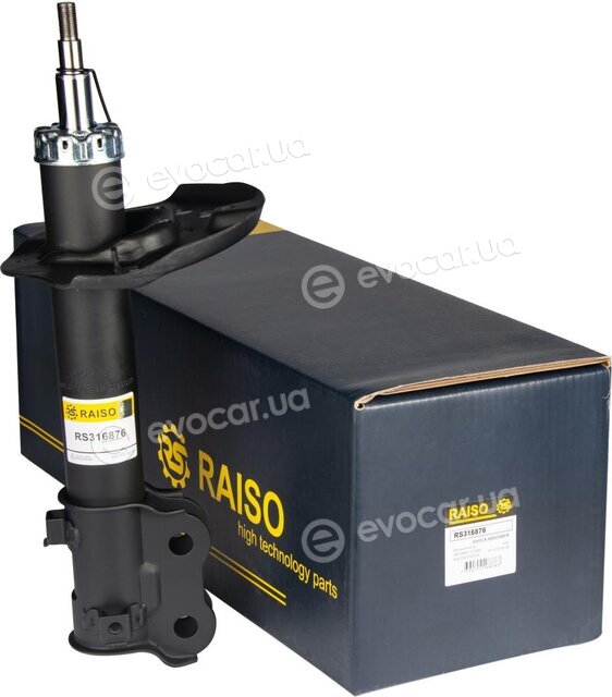 Raiso RS316876