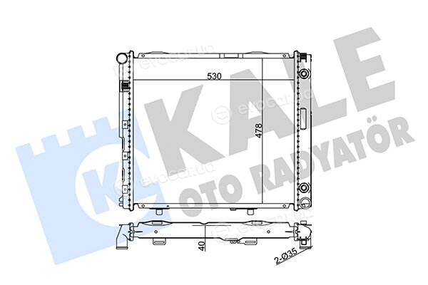 Kale 346160