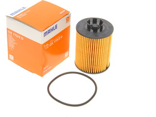 Mahle OX 173/2D