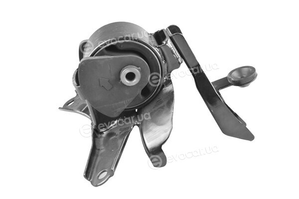 Tedgum TED16103