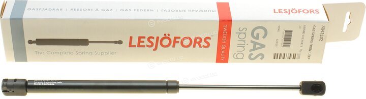 Lesjofors 8042102