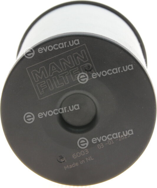 Mann H 6003 z