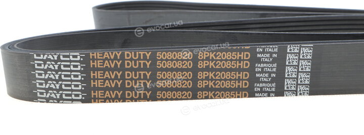 Dayco 8PK2085HD