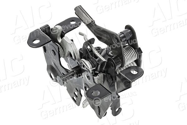 AIC 57886