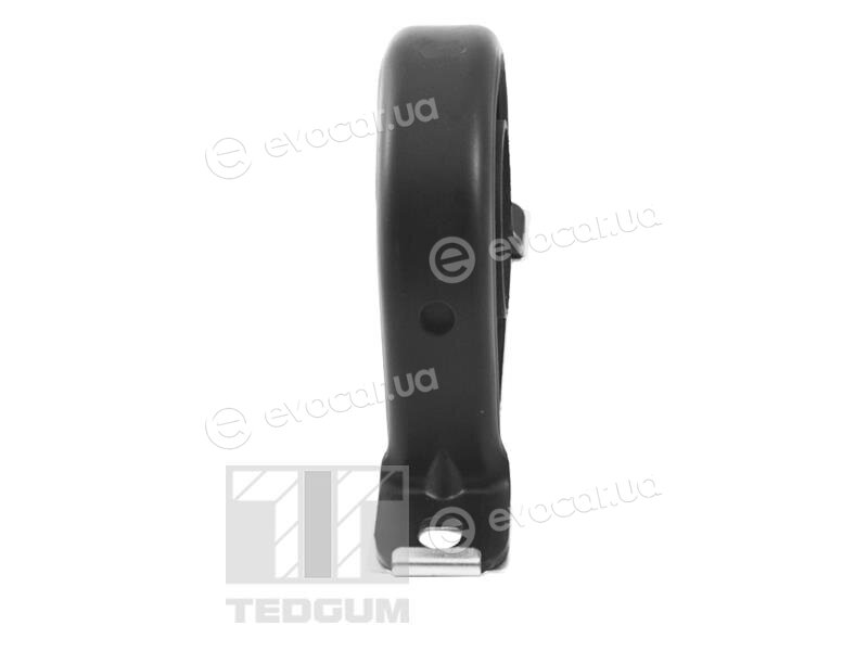 Tedgum TED50803