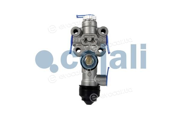 Cojali 2314303