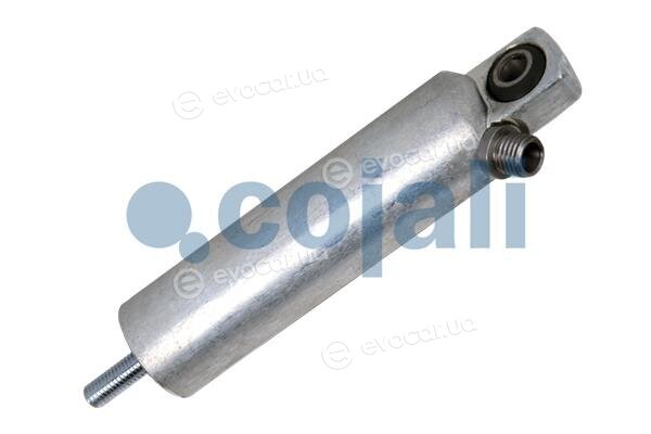 Cojali 2301205