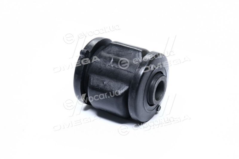 RBI T25281