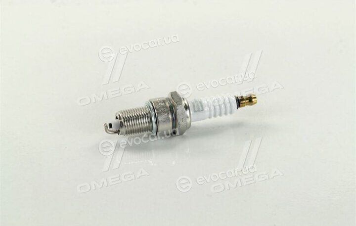 Champion OE015/T10