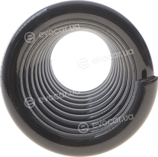 Solgy 212125