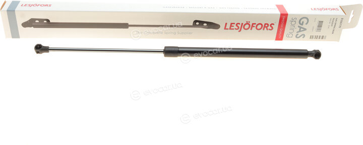 Lesjofors 8166770