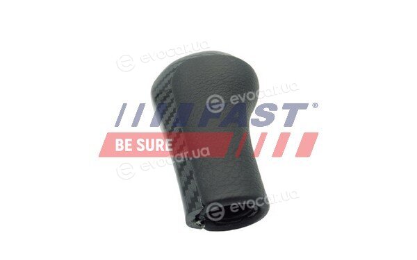 Fast FT00095
