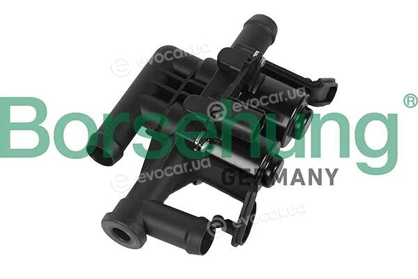 Borsehung B12579