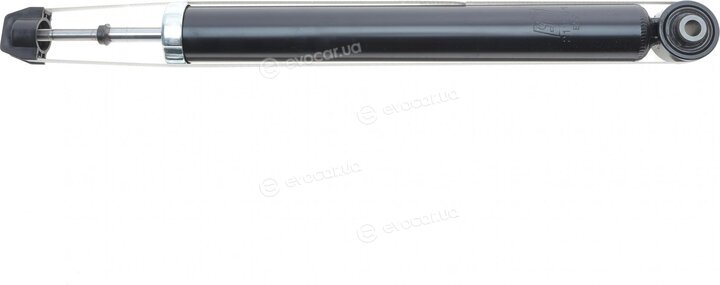 Solgy 211354