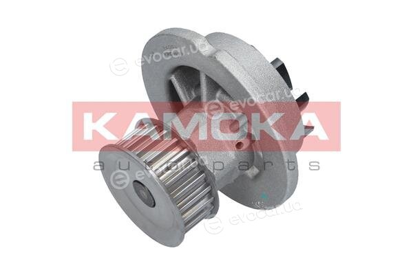 Kamoka T0071