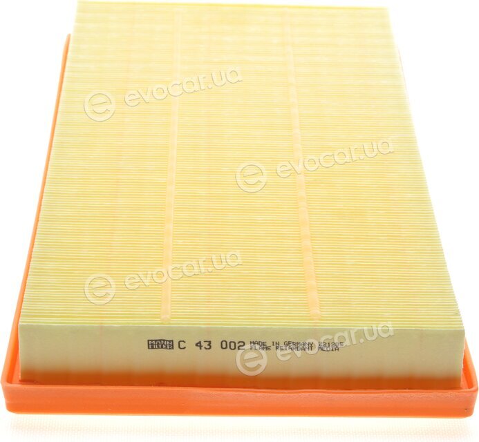 Mann C 43 002