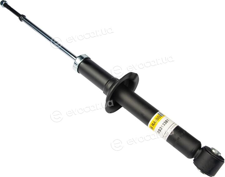 Raiso RS313381