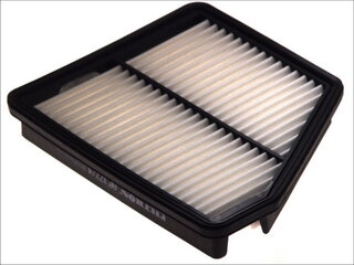 Filtron AP 177/4