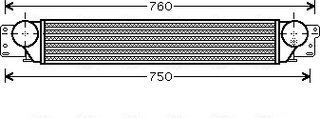 AVA OL4442