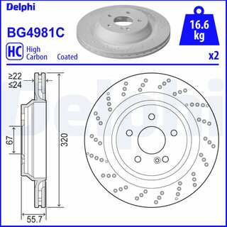 Delphi BG4981C