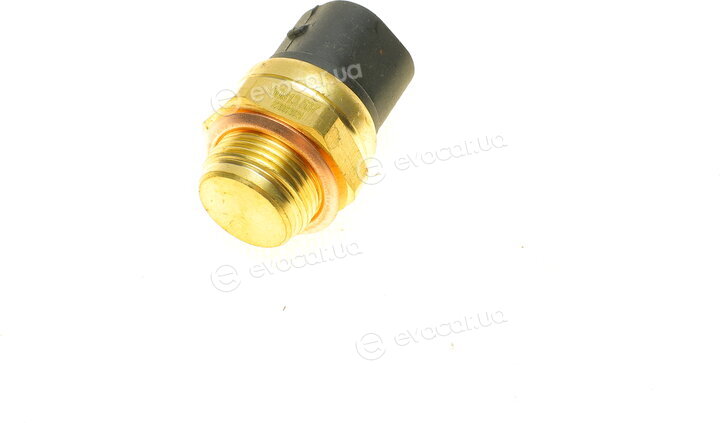 AIC 50813