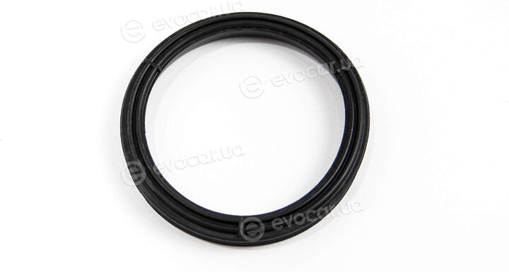 Elring 217.320