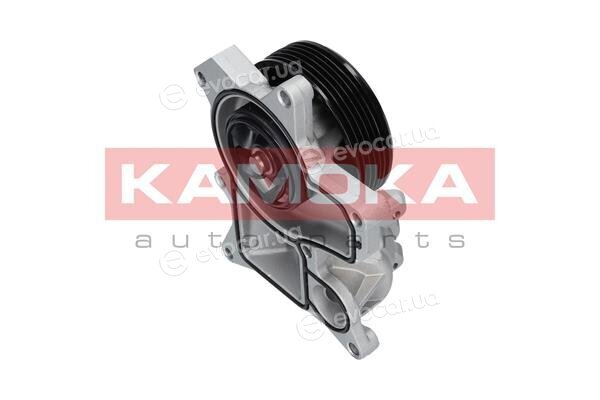 Kamoka T0048