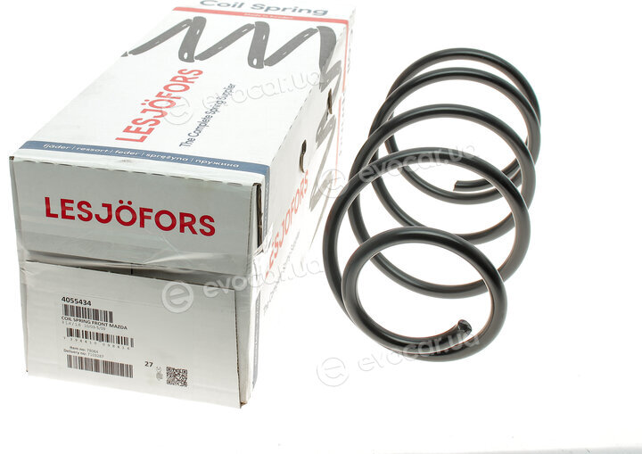 Lesjofors 4055434