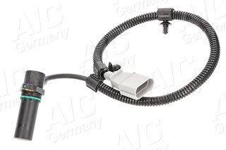 AIC 55306