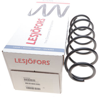 Lesjofors 4272950